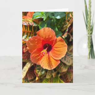Hibiscus and Croton Card