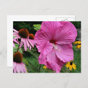 Hibiscus And Friends Flower Garden Photography Postcard