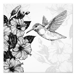 Hibiscus and hummingbird photo print