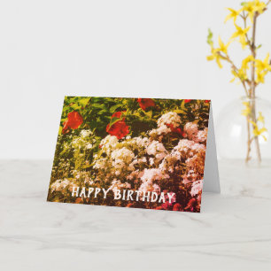 Hibiscus And Phlox Customisable Birthday Card