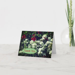 Hibiscus And Phlox Flowers Thank You Card