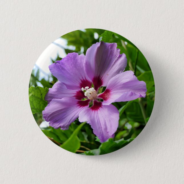 Hibiscus Badge (Front)