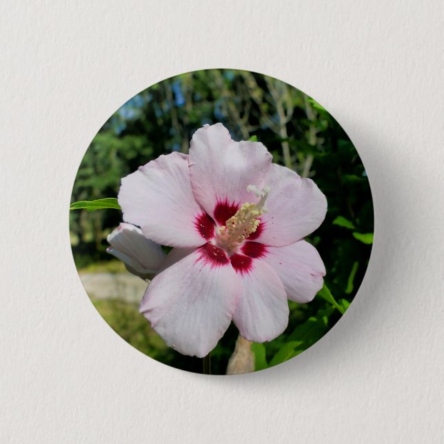 Hibiscus Badge (Front)