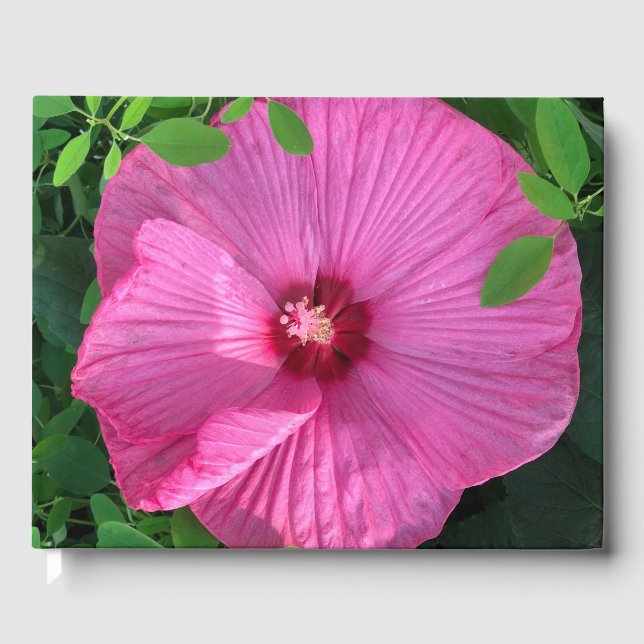 Hibiscus Bloom: Mind Edition Guest Book (Front)