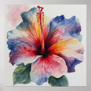 Hibiscus Bloom Poster
