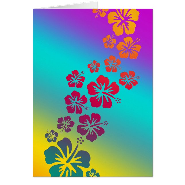 hibiscus blooms | coloured background (Front)