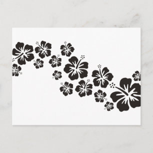 hibiscus blooms in black postcard