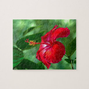 Hibiscus Blossom Jigsaw Puzzle