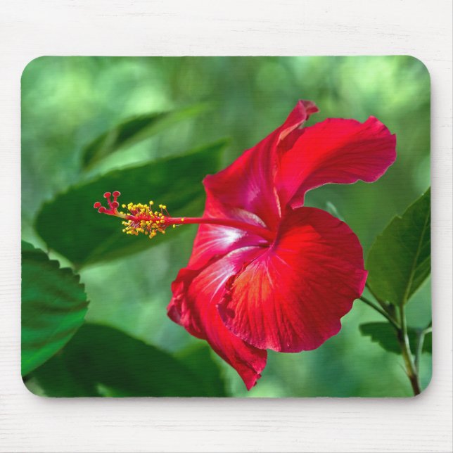 Hibiscus Blossom Mouse Mat (Front)