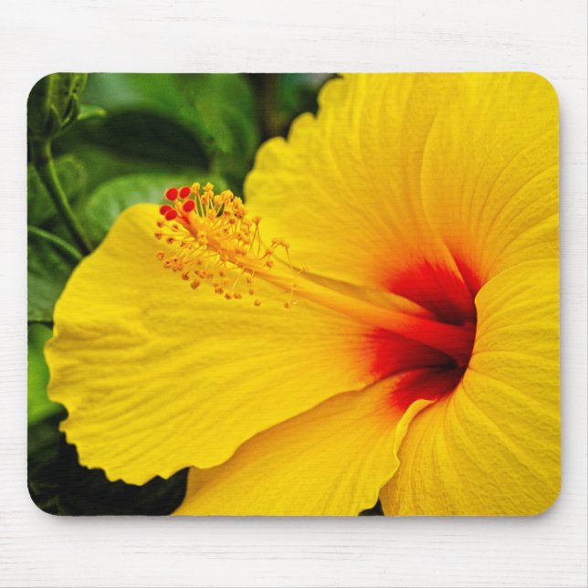 Hibiscus bright yellow mouse mat (Front)