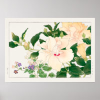 Hibiscus & Bush Violet, Konan, Vintage Nature Art