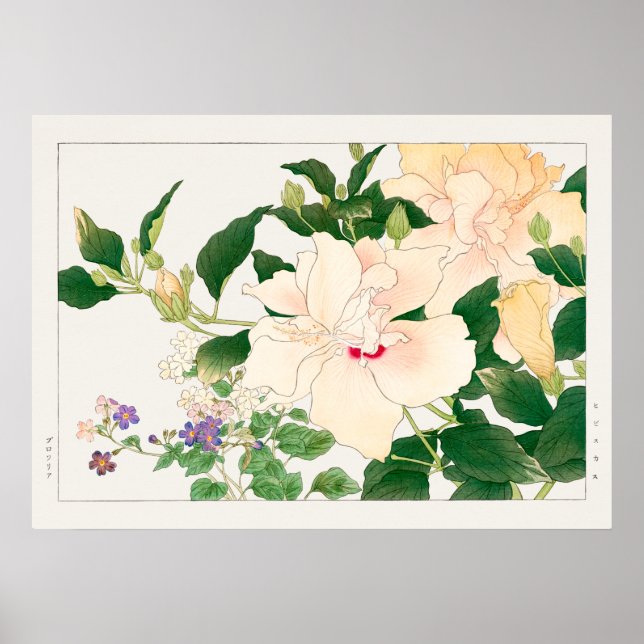 Hibiscus & Bush Violet, Konan, Vintage Nature Art Poster (Front)