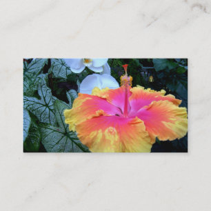 hibiscus business card