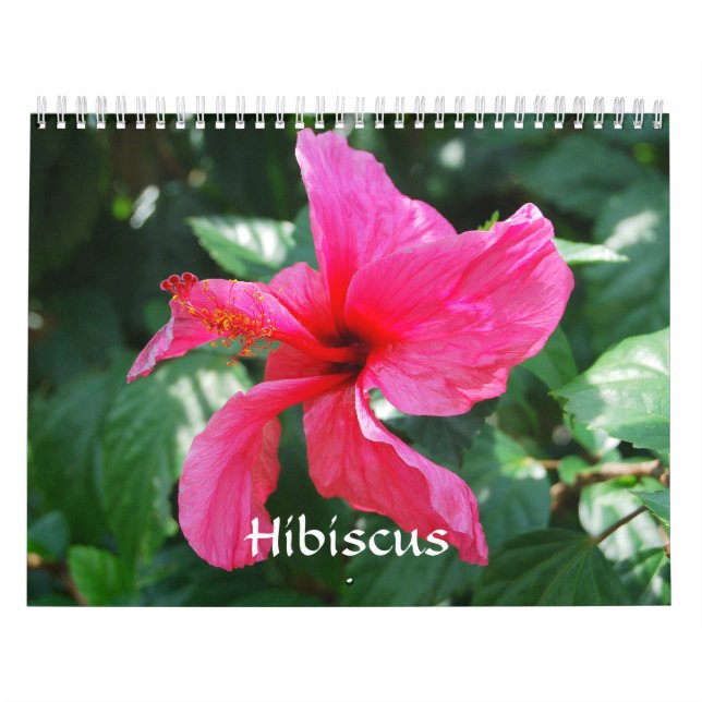 Hibiscus Calendar (Cover)
