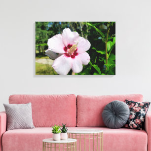 Hibiscus Canvas Print