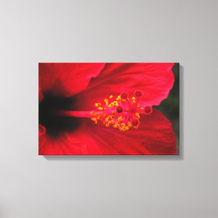 hibiscus canvas print