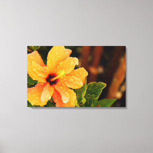 Hibiscus Canvas Print