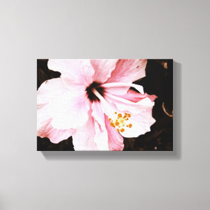 Hibiscus Canvas Print