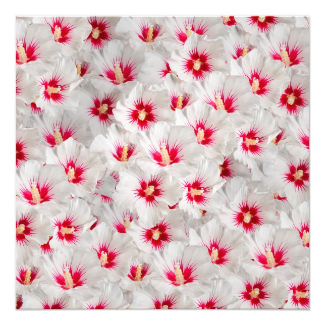 Hibiscus - Chinese Rose Flower Pattern Photo Print (Front)