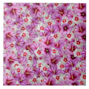 Hibiscus - Chinese Rose Flower Pattern Tile