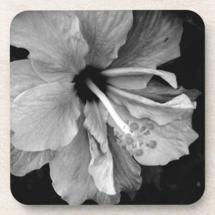 Hibiscus Coaster
