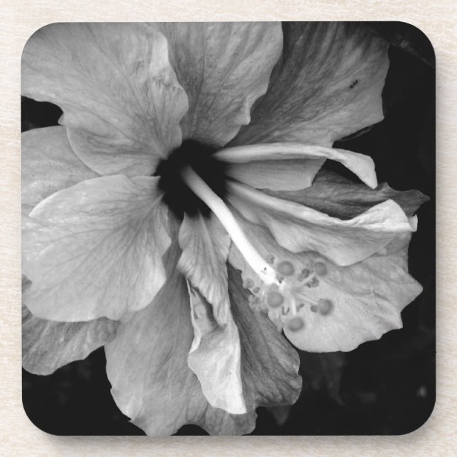 Hibiscus Coaster (Front)