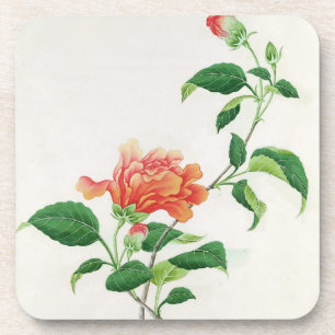 Hibiscus Coaster