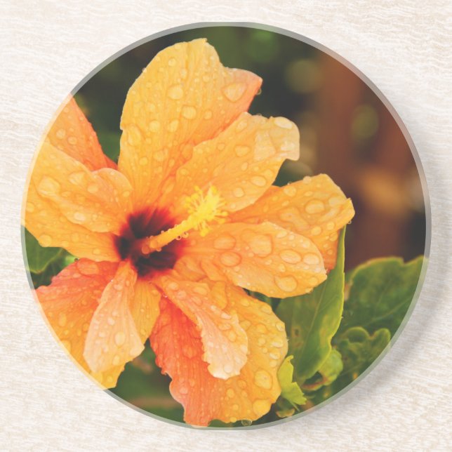 Hibiscus Coaster (Front)