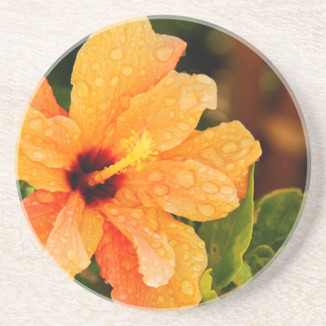 Hibiscus Coaster (Front)