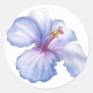 Hibiscus Dreams Envelope seals