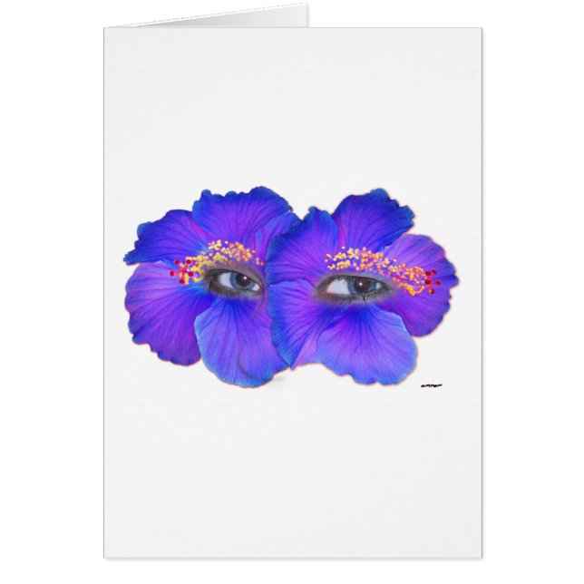 Hibiscus Eyes - Blue (Front)
