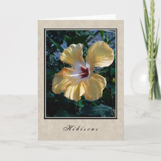 Hibiscus - Floral Series Card (Front)