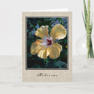 Hibiscus - Floral Series Card