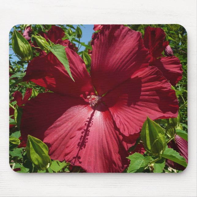 Hibiscus Flower and Blue Sky Mouse Mat (Front)