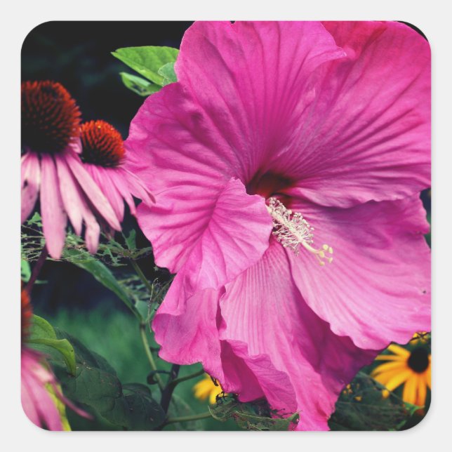 Hibiscus Flower And Friends Square Sticker (Front)