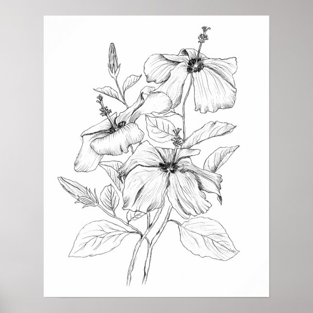 hibiscus flower black and white ink  illustration  poster (Front)