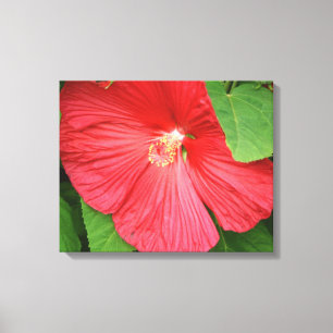 Hibiscus Flower Bright Magenta Floral Canvas Print