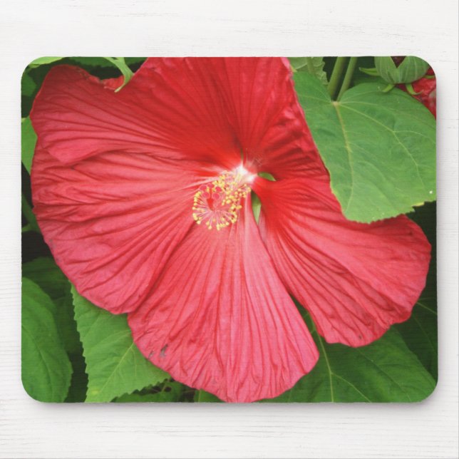 Hibiscus Flower Bright Magenta Floral Mouse Mat (Front)