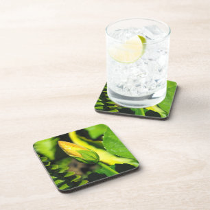 Hibiscus Flower Bud Coaster