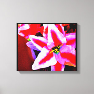 Hibiscus Flower Canvas Print