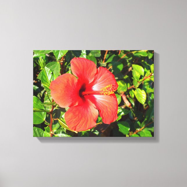 Hibiscus flower canvas print (Front)