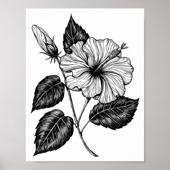 Hibiscus flower II Poster (Front)