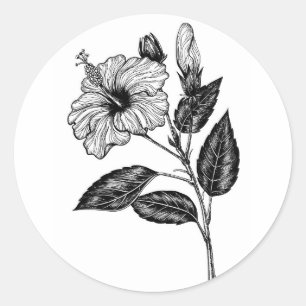 Hibiscus flower III Classic Round Sticker
