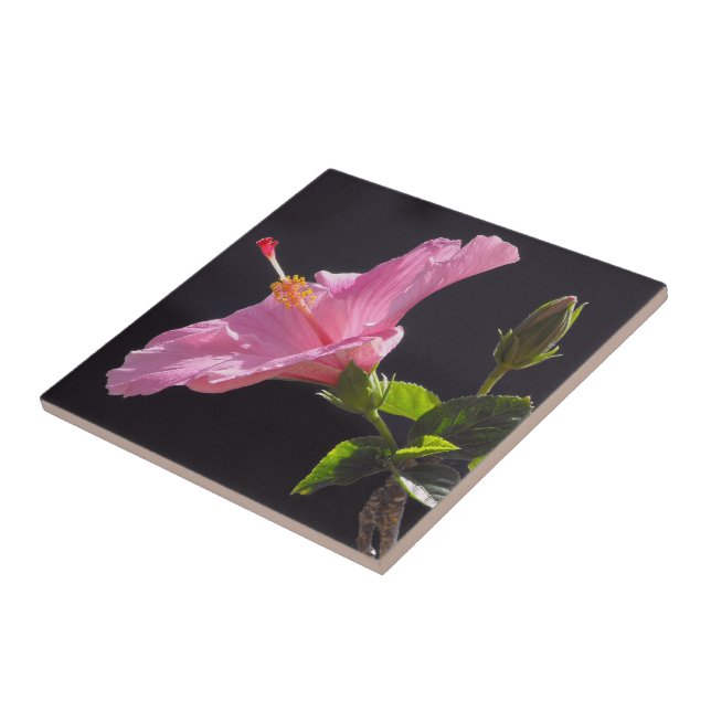 Hibiscus Flower in Profile Tile (Side)