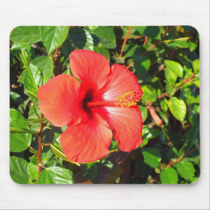 Hibiscus flower mouse mat