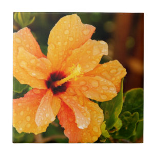 Hibiscus Flower Photography Tile