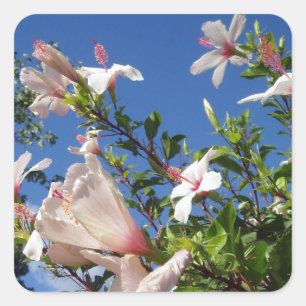 Hibiscus Flower Stickers