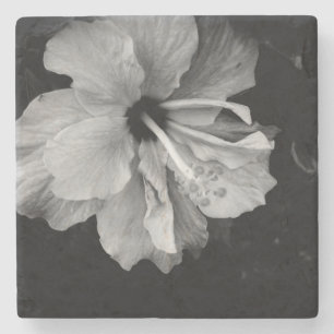 Hibiscus flower stone coaster