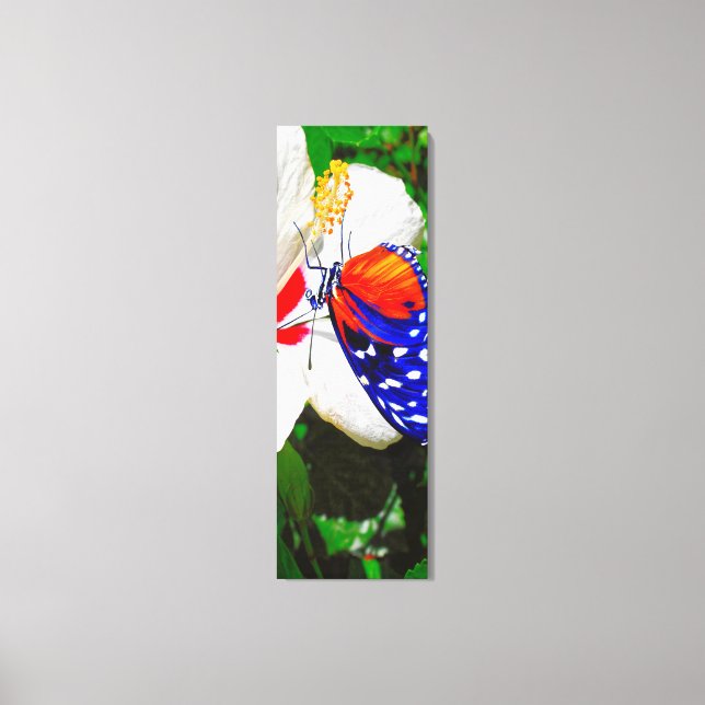 Hibiscus flower with 2 Tiger Longwing butterflies Canvas Print (Front)