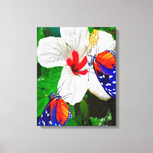 Hibiscus flower with 2 Tiger Longwing butterflies Canvas Print